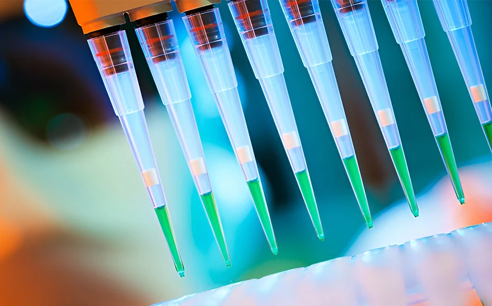 مراحل پی سی آر