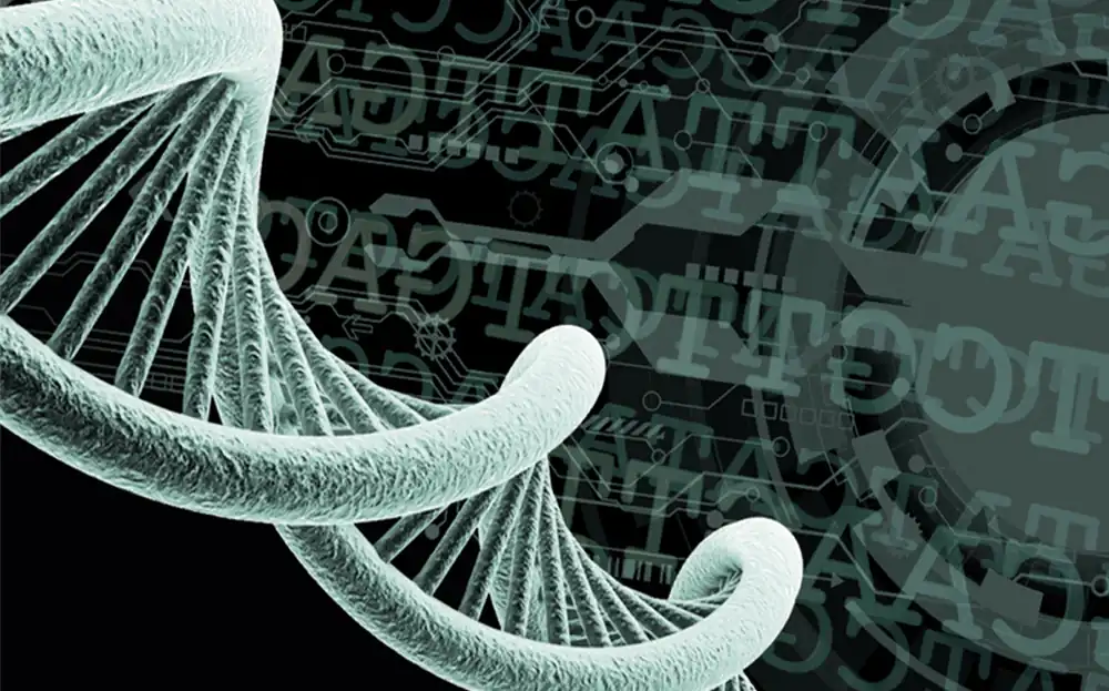 پرایمر زیستی چیست؟